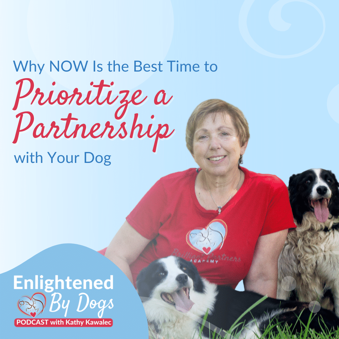 EBD210 Why NOW Is the Best Time to Prioritize a Partnership with Your Dog