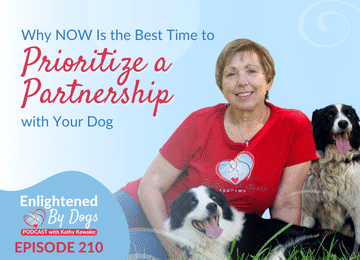 EBD210 Why NOW Is the Best Time to Prioritize a Partnership with Your Dog