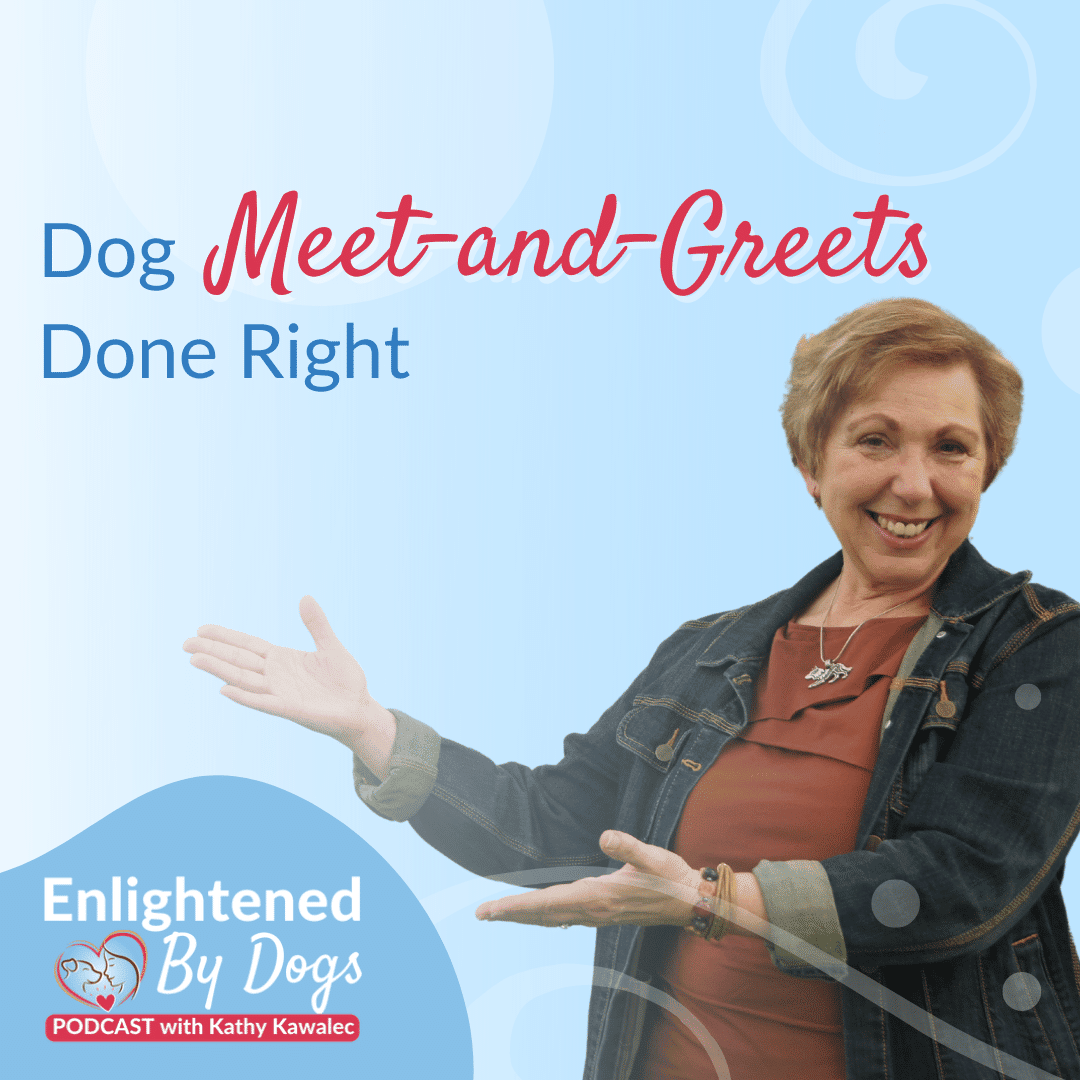 EBD212 Dog Meet-and-Greets Done Right