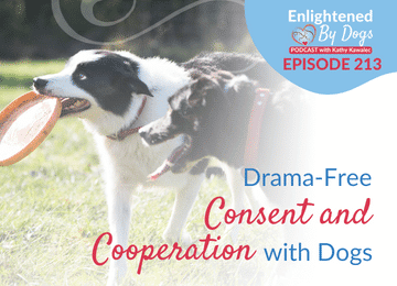 EBD213 Drama-Free Consent and Cooperation with Dogs