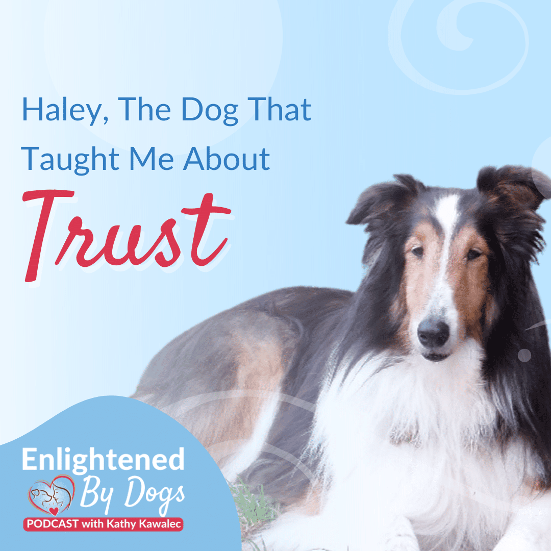 EBD216 Haley, The Dog That Taught Me About Trust