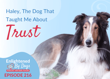 EBD216 Haley, The Dog That Taught Me About Trust