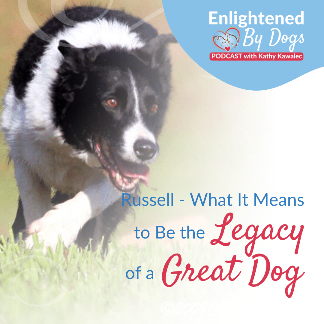 EBD217 Russell - What It Means to Be the Legacy of a Great Dog