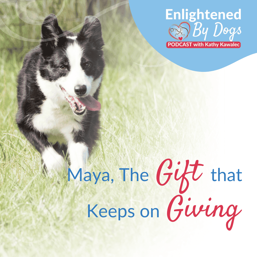 EBD219 Maya, The Gift that Keeps on Giving
