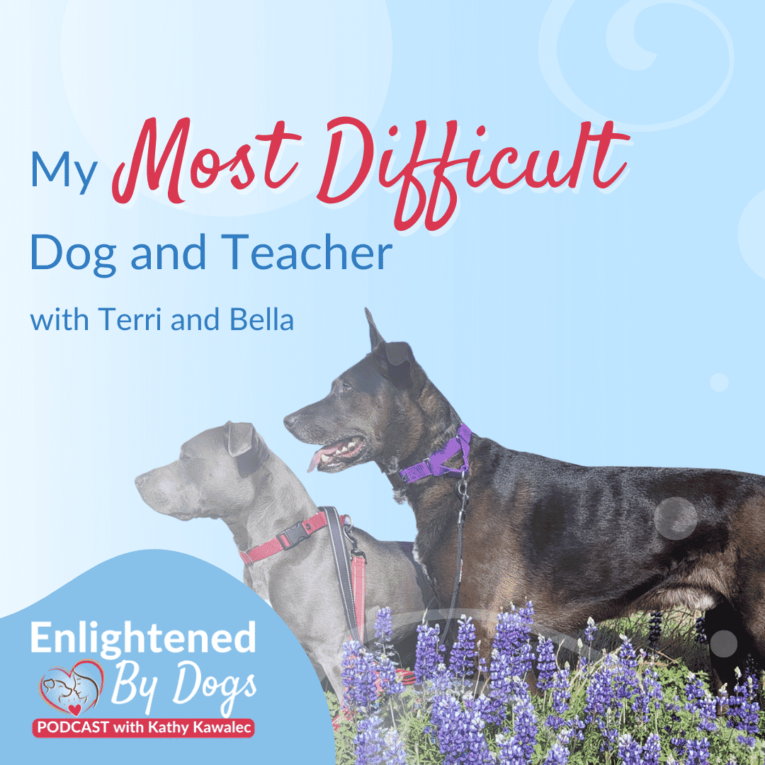 EBD220 My Most Difficult Dog and Teacher with Terri and Bella