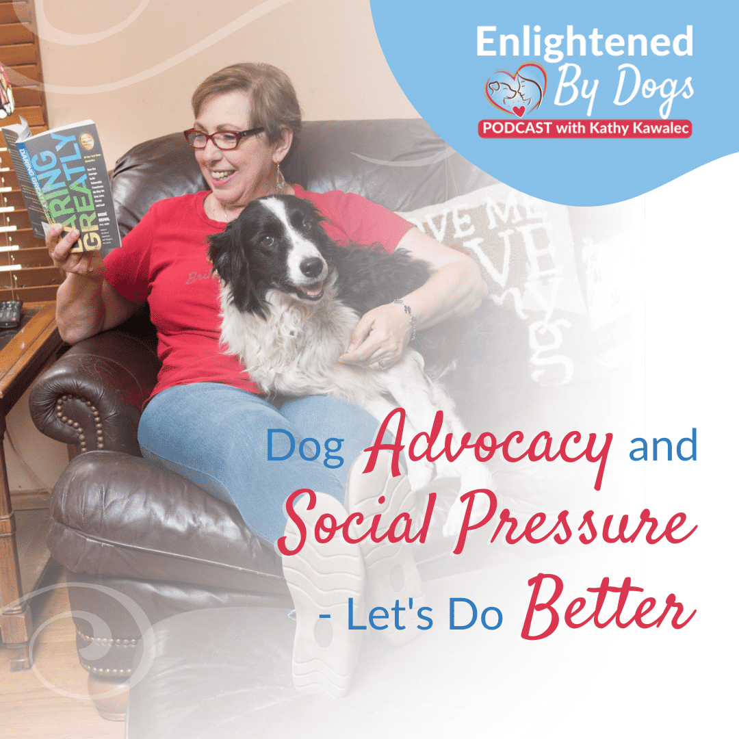 EBD221 Dog Advocacy and Social Pressure - Let's Do Better