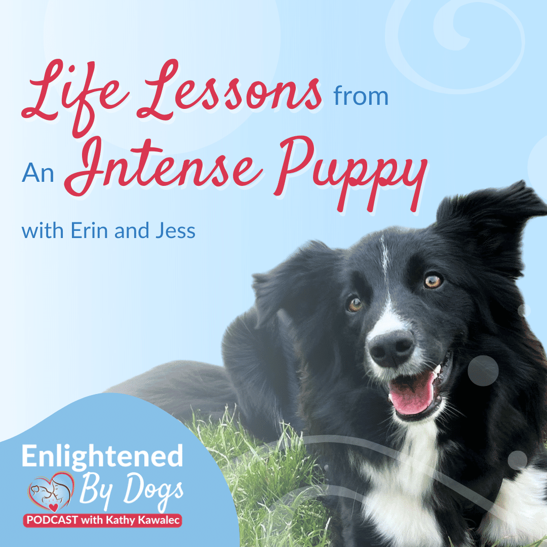 EBD222 Life Lessons from An Intense Puppy with Erin and Jess
