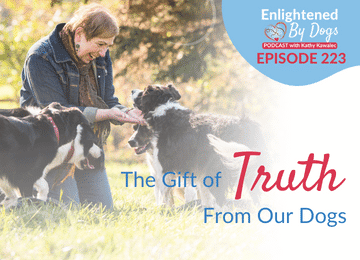 EBD223 The Gift of Truth From Our Dogs