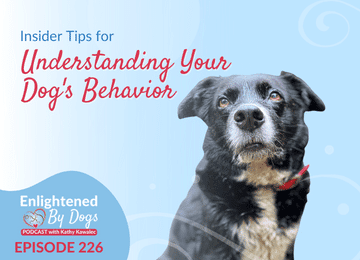 EBD226 Insider Tips for Understanding Your Dog's Behavior