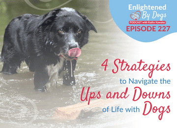 EBD227 4 Strategies to Navigate the Ups and Downs of Life with Dogs