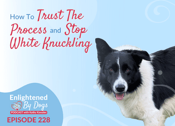 EBD228 How To Trust The Process and Stop White Knuckling