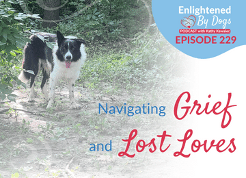 EBD229 Navigating Grief and Lost Loves