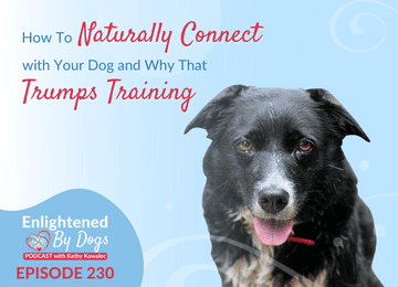 EBD230 How To Naturally Connect with Your Dog and Why That Trumps Training