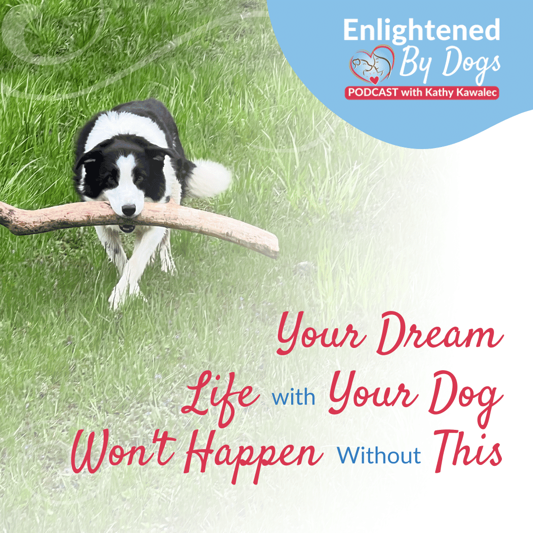 EBD231 Your Dream Life with Your Dog Won't Happen Without THIS