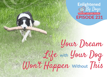 EBD231 Your Dream Life with Your Dog Won't Happen Without THIS