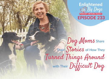 Dog Moms Share Their Stories of How They Turned Things Around with Their Difficult Dog