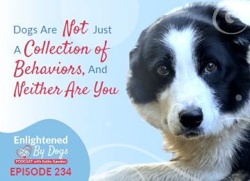 Dogs Are Not Just A Collection of Behaviors, And Neither Are You